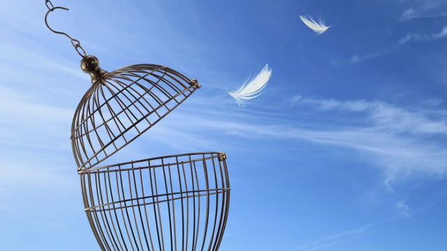 空っぽの鳥かご